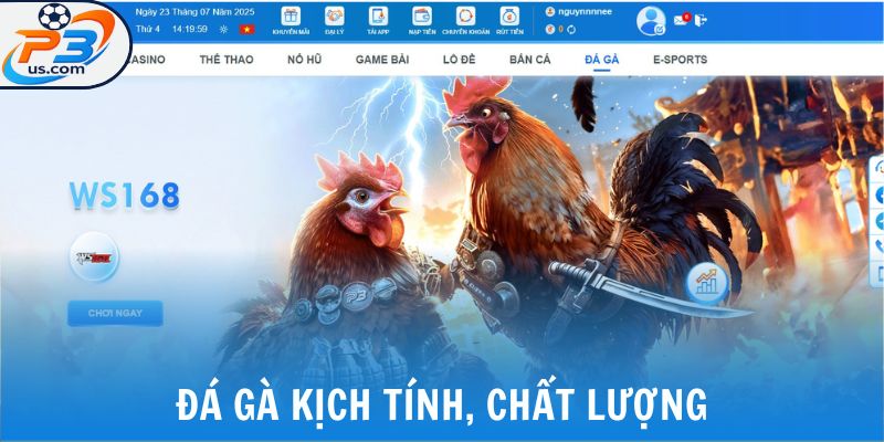 Đá gà kịch tính, chất lượng
